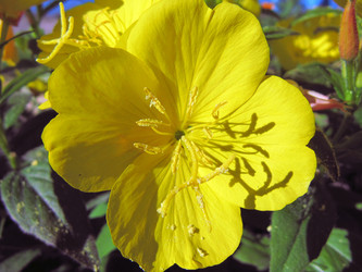 Similar image 201303