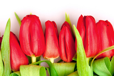 Similar image 201305