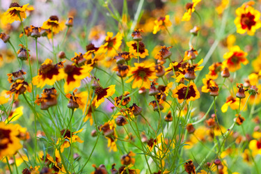 Similar image 201306