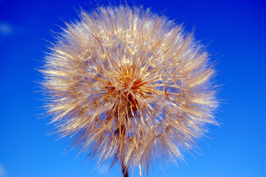 Similar image 201308