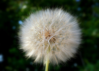 Similar image 201309