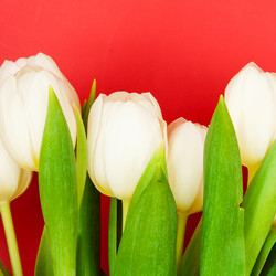 Similar image 201311