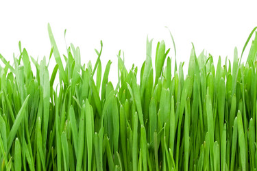 Similar image 201313