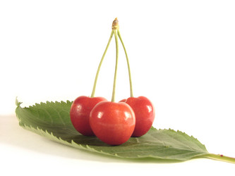 Similar image 201326