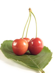 Similar image 201327