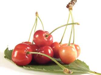 Similar image 201328