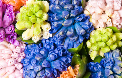 Similar image 201329