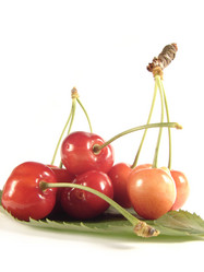 Similar image 201330