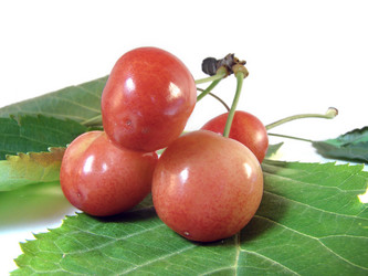 Similar image 201332