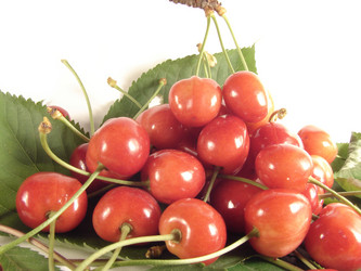 Similar image 201336