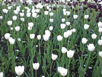 Similar image 201341