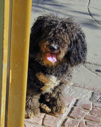 Similar image 201349