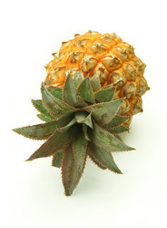 Similar image 201399