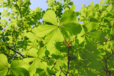 Similar image 201429