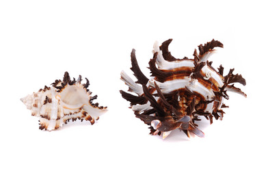 Similar image 201430