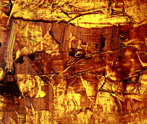 Similar image 201445