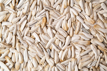 Similar image 201451