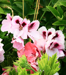 Similar image 201453