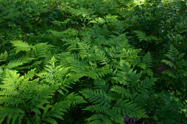 Similar image 201490