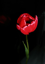 Similar image 201565