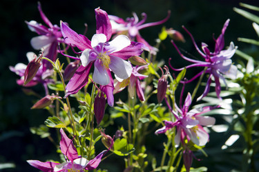 Similar image 201567