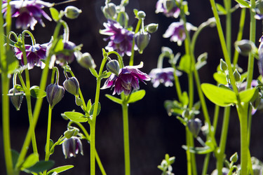 Similar image 201568