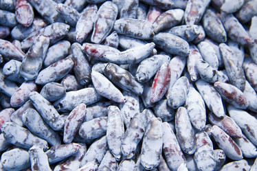 Similar image 201569