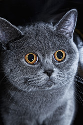 Similar image 201602