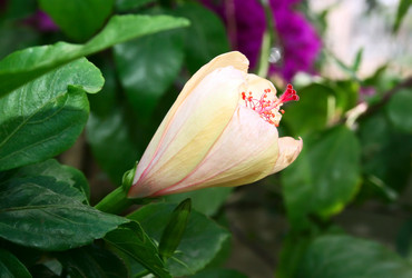 Similar image 201689