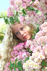 Similar image 201705