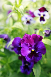 Similar image 201707