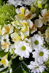 Similar image 201721