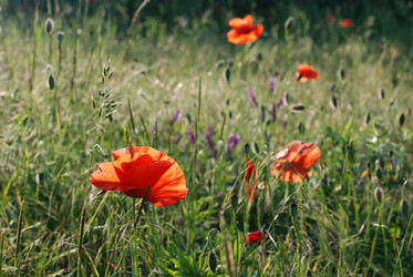 Similar image 201723