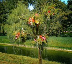 Similar image 201726