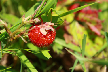 Similar image 201734