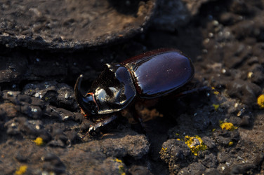 Similar image 201738