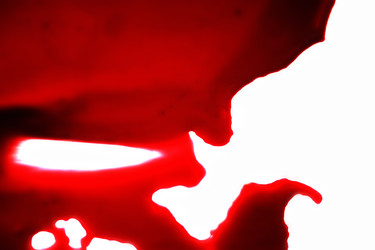 Similar image 201960