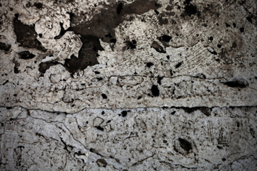 Similar image 201962