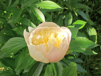 Similar image 201971