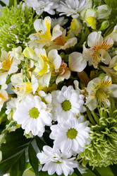 Similar image 201998