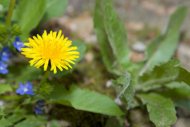 Similar image 202000