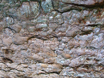 Similar image 202003