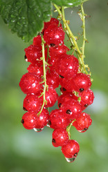 Similar image 202018