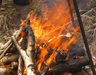 Similar image 202084