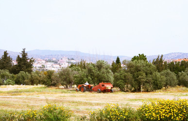 Similar image 202087