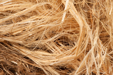 Similar image 202148