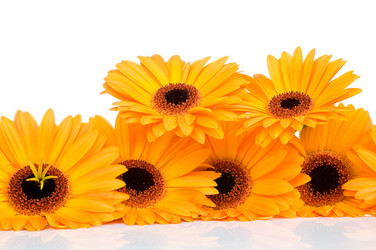 Similar image 202221