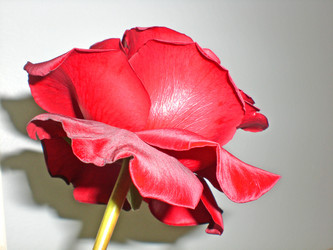 Similar image 202222