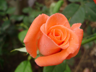 Similar image 202224