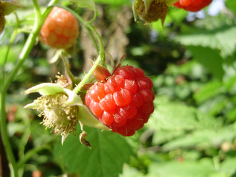 Similar image 202225